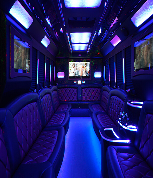 Party bus general view 6